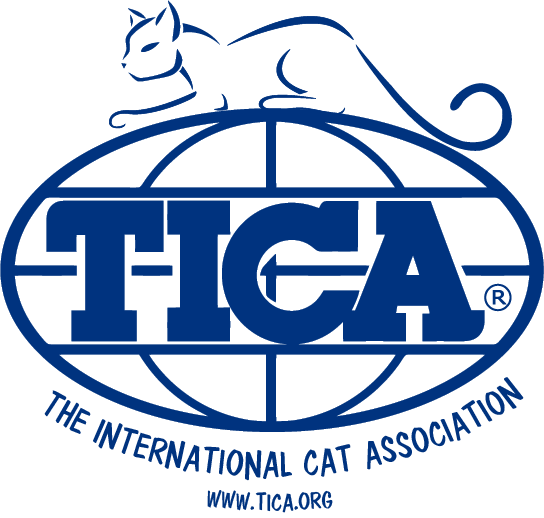 The International Cat Association Registered Breeder of Maine Coon Cats