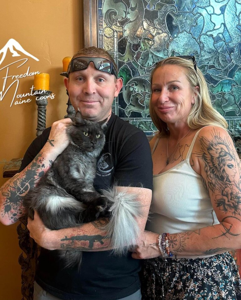Maine Coon Family